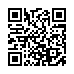 QR kd Owalna drewniana szczotka do wosw z wosia dzika i nylonowych wypustek Sibel Decopad - 24 x 8 cm