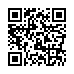 QR kd Owalna szczotka do wosw z nylonowym wosiem Hairway