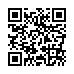 QR kd Grzebie do tapirowania z metalowym szpikulcem Hercules Sgemann 6740 - 23,6 cm