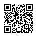 QR kd Szczotka do tapirowania ze sztucznym wosiem Eurostil Profesional - 22,2 x 1,3 cm