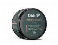 Wosk do stylizacji nadajcy efekt mokrych wosw Dandy Water Pomade - 100 ml