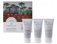 Seria regenerujca do wosw zniszczonych Paul Mitchell Awapuhi Wild Ginger