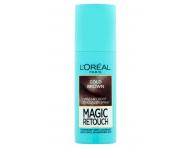 Spray do retuszu odrostw Loral Paris Magic Retouch - 75 ml - chodny brz