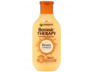 Seria do wosw zniszczonych Garnier Botanic Therapy Honey