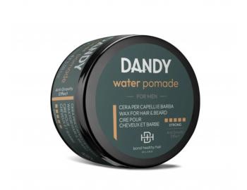 Wosk do stylizacji nadajcy efekt mokrych wosw Dandy Water Pomade - 100 ml