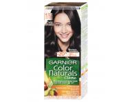 Farba do trwaej koloryzacji Garnier Color Naturals 4.12 lodowy brz