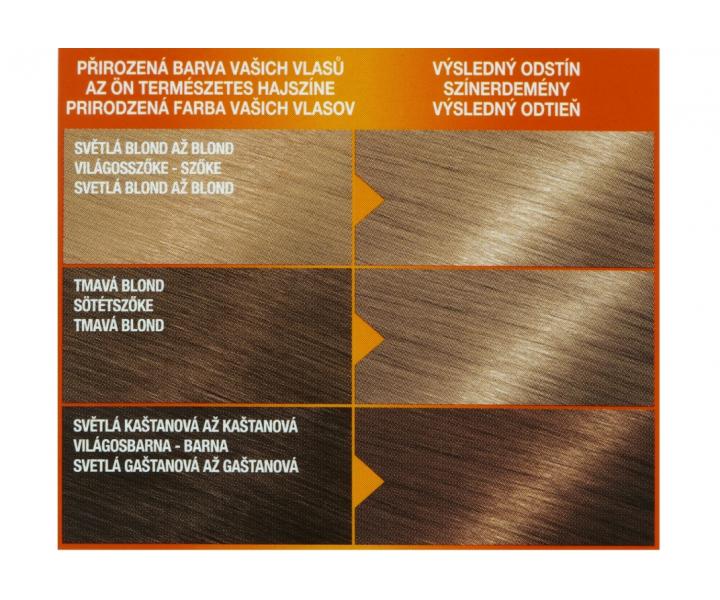 Farba do trwaej koloryzacji Garnier Color Naturals 8.1 jasny popielaty blond