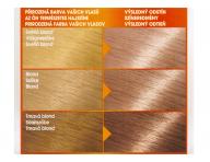 Farba do trwaej koloryzacji Garnier Color Naturals 9N jasny blond