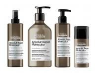 Seria do wosw zniszczonych Loral Professionnel Serie Expert Absolut Repair Molecular